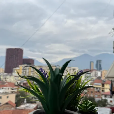 Solea